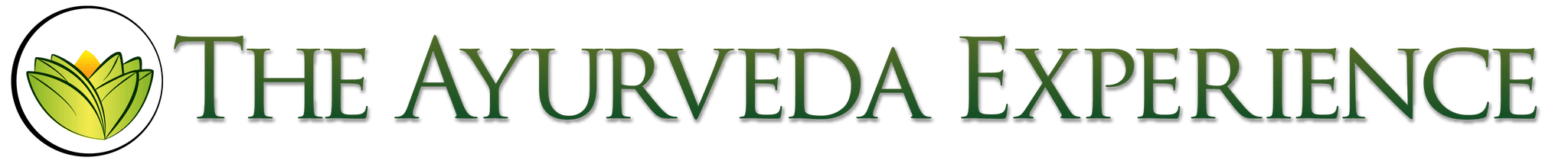 The Ayurveda Experience - theayurvedaexperience.de