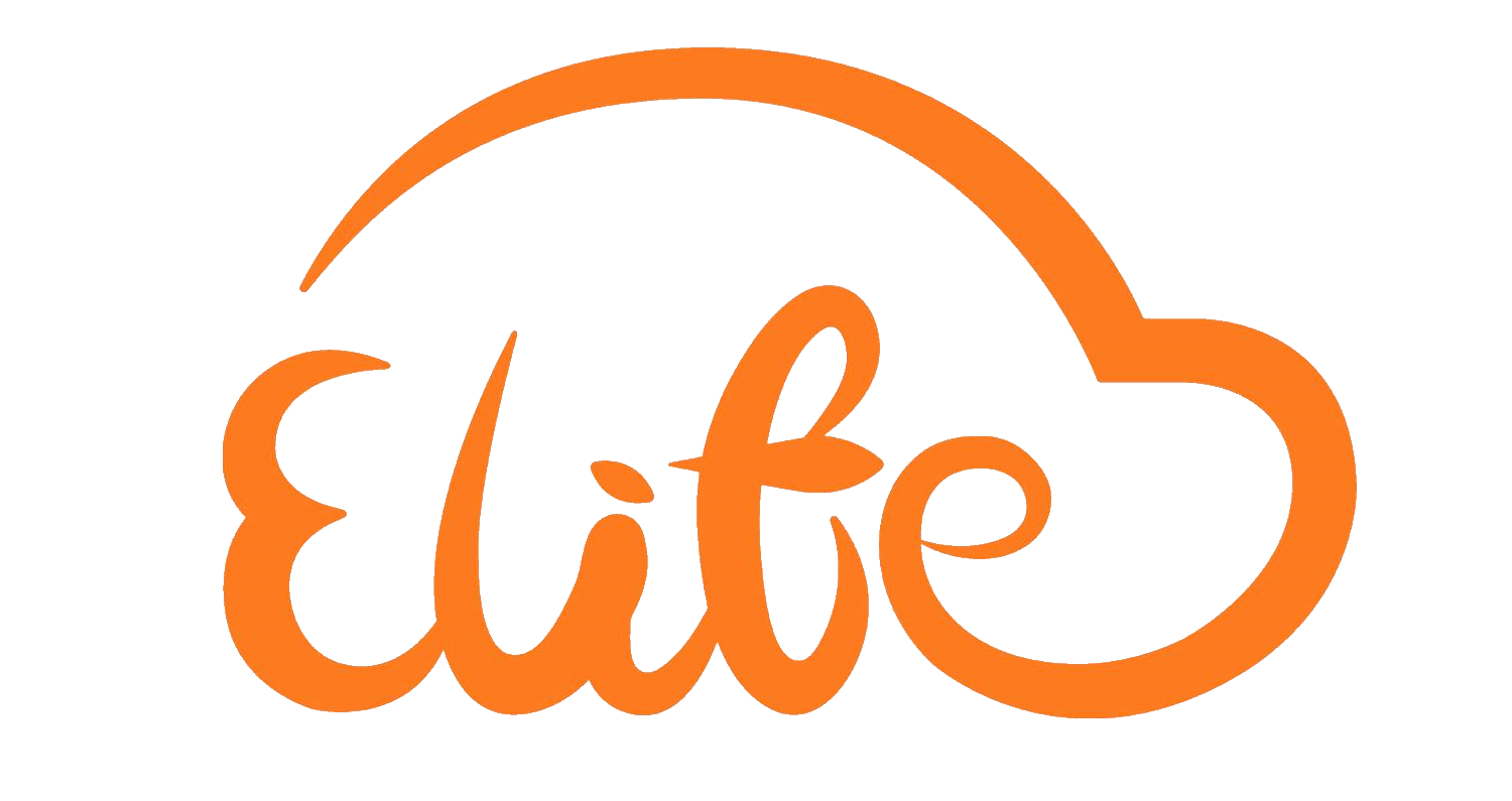 Global Private Driver Transportation Service | elifelimo Airport Shuttle